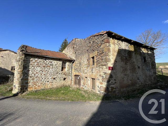 maison - ST JEAN DE NAY - 43