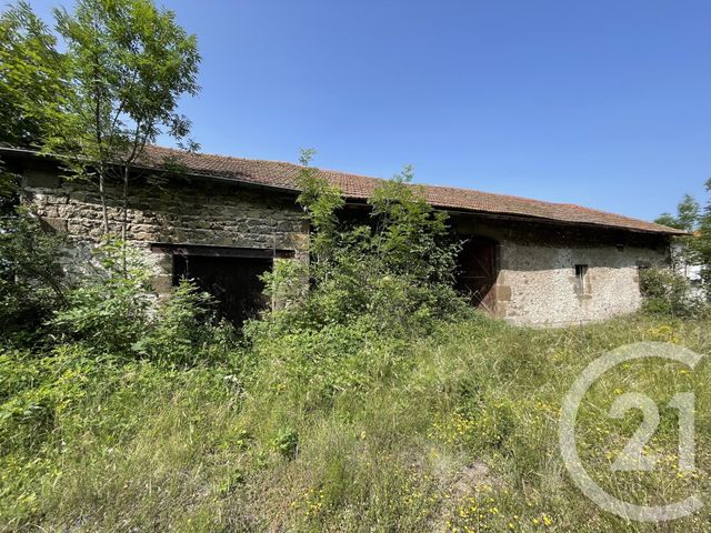 maison - POLIGNAC - 43