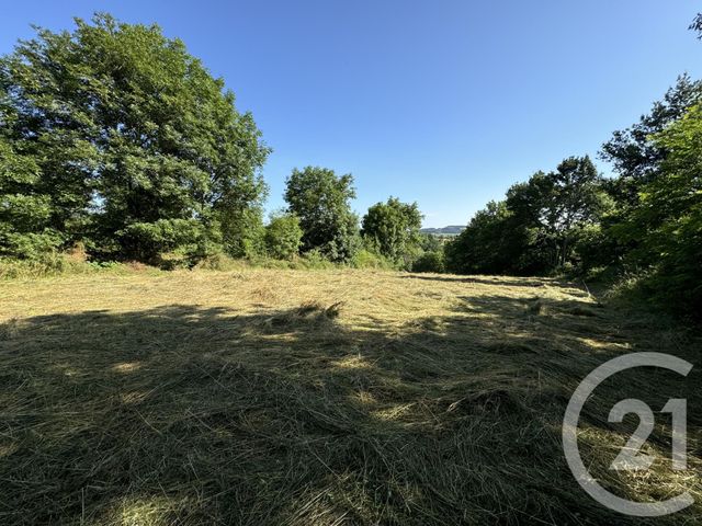terrain - LOUDES - 43