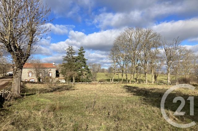 terrain - BAINS - 43
