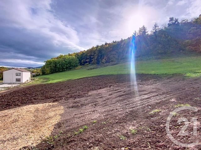 terrain à vendre - 4230.0 m2 - COUBON - 43 - AUVERGNE - Century 21 L'Agence Du Velay