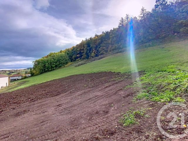 terrain à vendre - 4230.0 m2 - COUBON - 43 - AUVERGNE - Century 21 L'Agence Du Velay