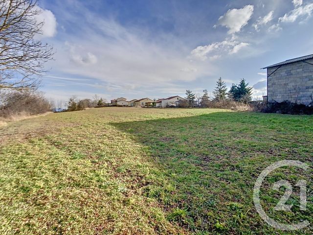 Afficher la photo en grand terrain à vendre - 5000.0 m2 - ST VIDAL - 43 - AUVERGNE - Century 21 L'Agence Du Velay