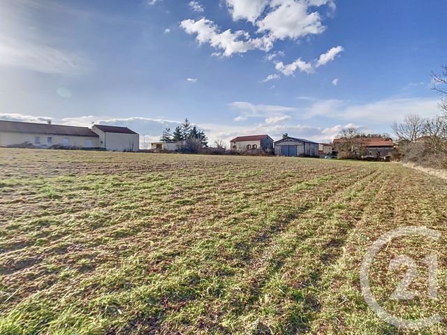Afficher la photo en grand terrain à vendre - 5000.0 m2 - ST VIDAL - 43 - AUVERGNE - Century 21 L'Agence Du Velay