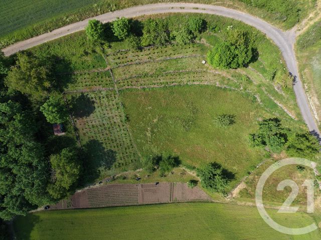 terrain à vendre - 2971.0 m2 - POLIGNAC - 43 - AUVERGNE - Century 21 L'Agence Du Velay