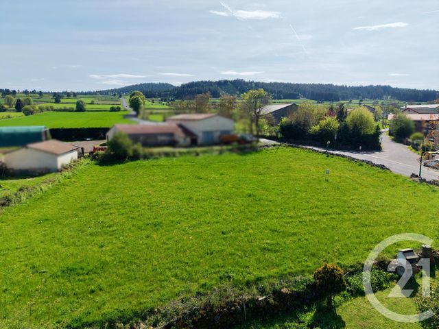 terrain à vendre - 924.0 m2 - CAYRES - 43 - AUVERGNE - Century 21 L'Agence Du Velay