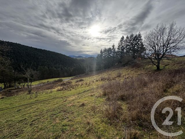 terrain - ST GERMAIN LAPRADE - 43