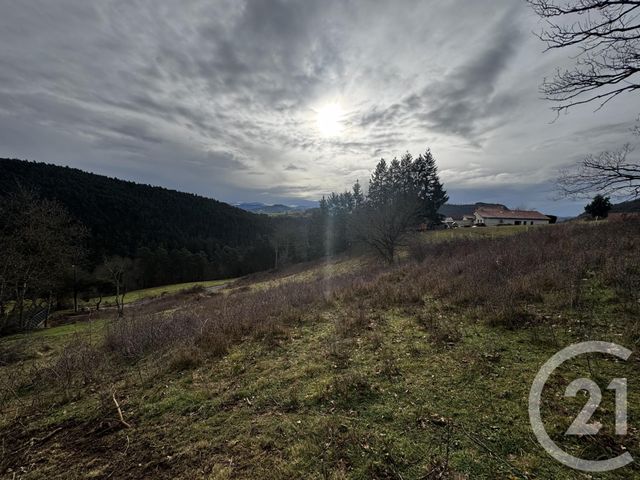 terrain à vendre - 3310.0 m2 - ST GERMAIN LAPRADE - 43 - AUVERGNE - Century 21 L'Agence Du Velay
