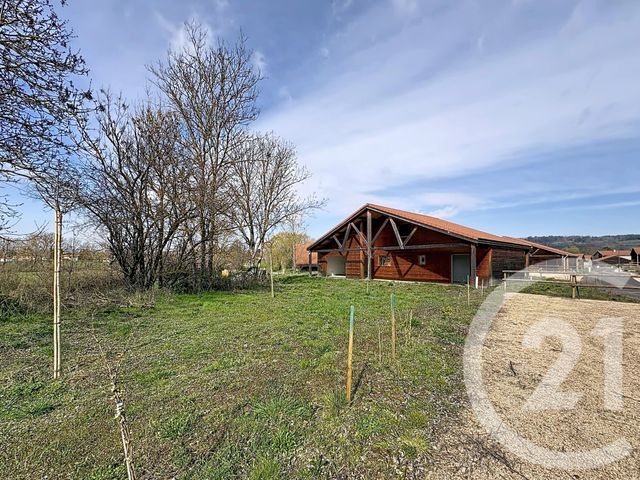 maison - ST PAULIEN - 43